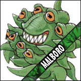 Malboro's Avatar