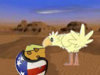Chocobo eating cheese from a helmet in a desert.jpg