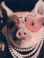 pig-3.jpg
