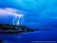 Nature-17.jpg