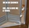 towel.thumbnail.jpg