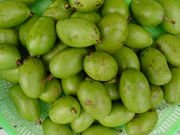 180px-Green_mango.jpg