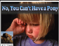 pony.gif