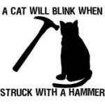 HAMMER-CAT-SMALL_1.jpg