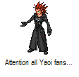axel_hates_yaoi.gif