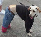 butt looks huge in this.jpg