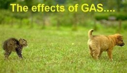 Chemical reactions.jpg
